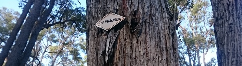 Kattamorda Diamond Marker